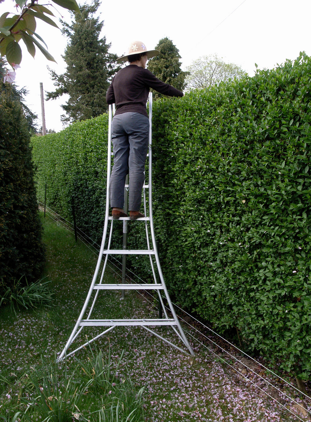 LEITER - Silberfarben, Basics, Metall (125/240/20cm) - Ambia Garden