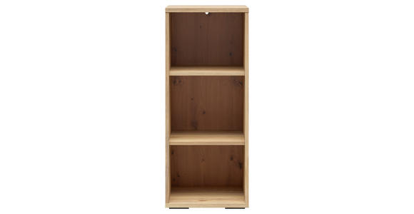 AKTENREGAL Eichefarben  - Eichefarben/Schwarz, KONVENTIONELL, Holzwerkstoff/Kunststoff (42/100/41cm) - Carryhome
