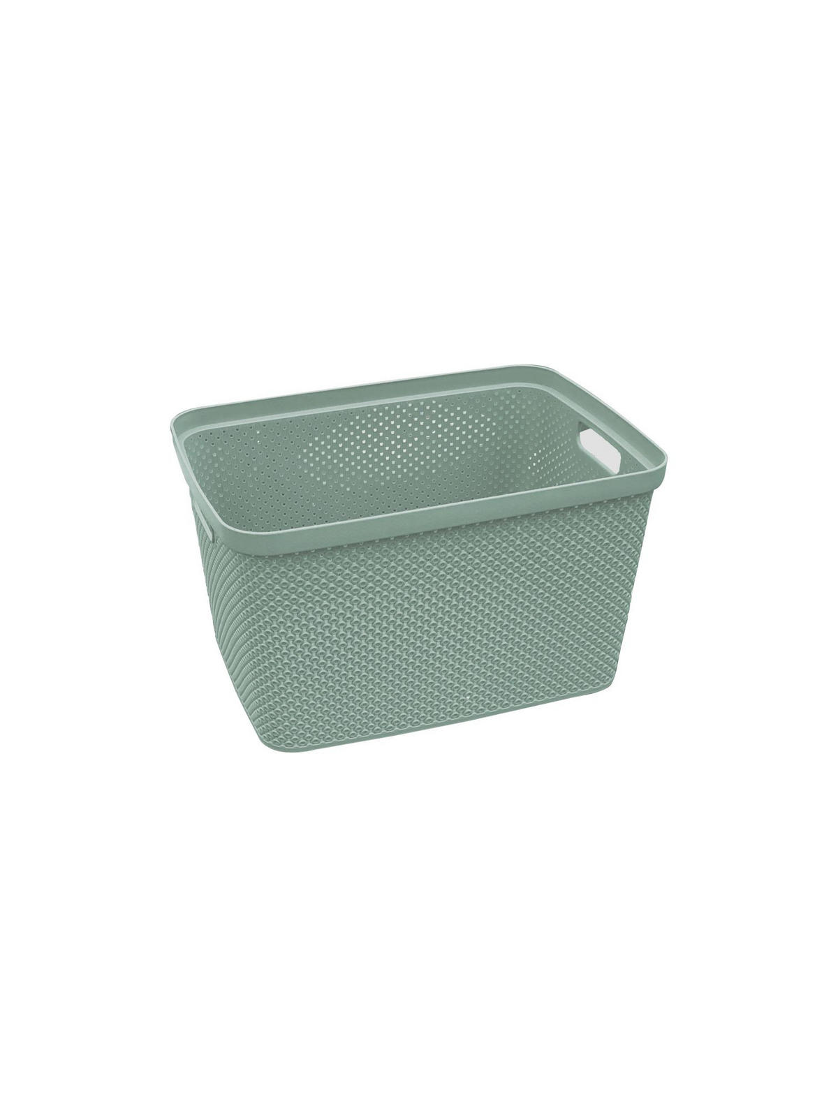 ÚLOŽNÝ BOX, plast - zelená, Basics, plast (28,5/38,5/22cm) - Homeware
