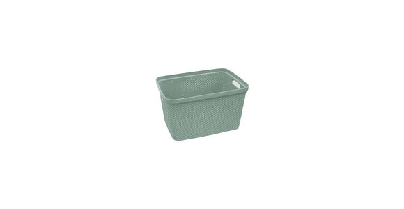 AUFBEWAHRUNGSBOX    28,5/38,5/22 cm  - Grün, Basics, Kunststoff (28,5/38,5/22cm) - Homeware
