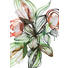 BILD - Multicolor, KONVENTIONELL, Papier (50/70cm) BILD - Multicolor, KONVENTIONELL, Papier (50/70cm)