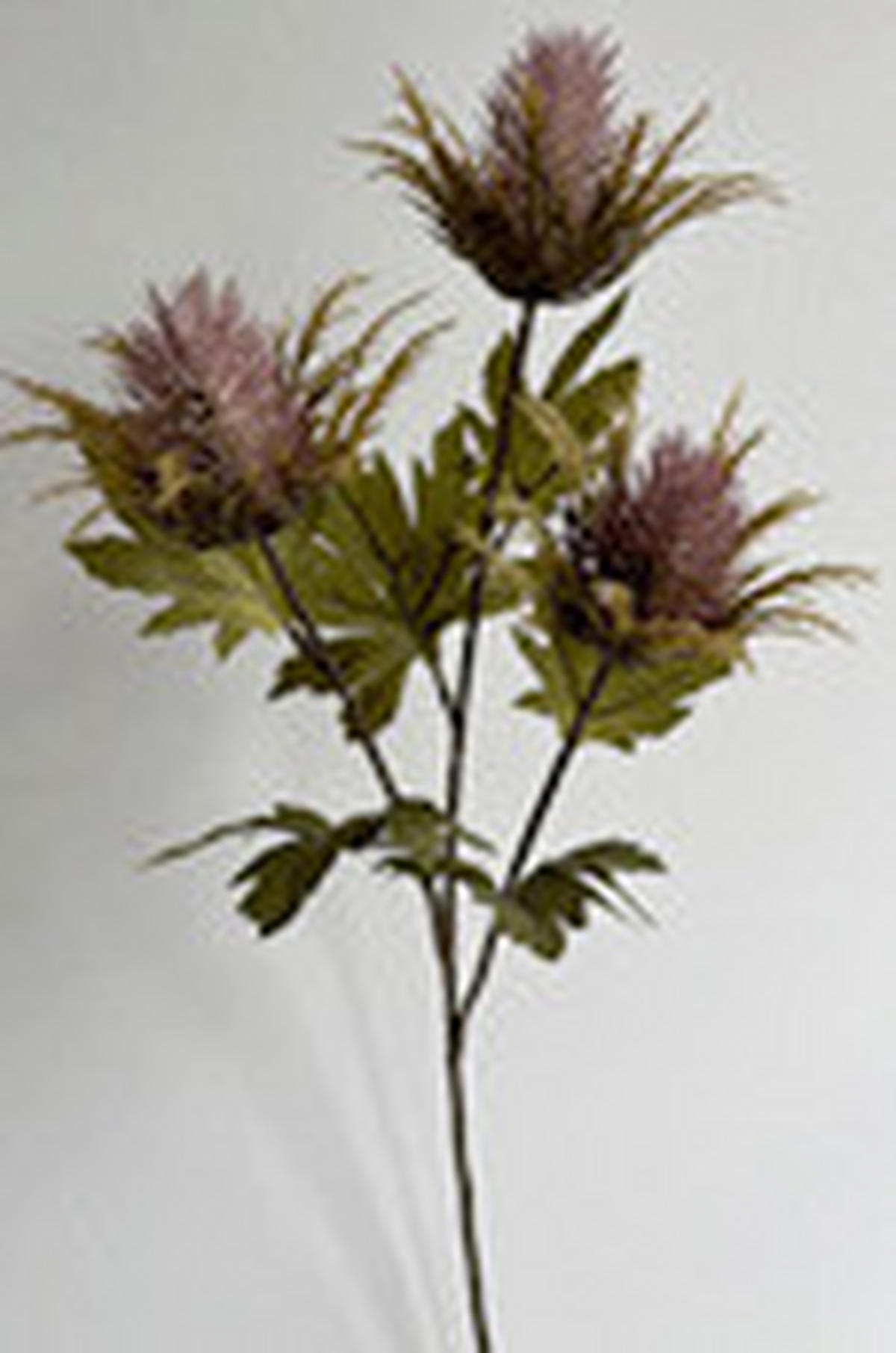 UMETNA ROŽA - pink/zelena, Basics, umetna masa (67cm)