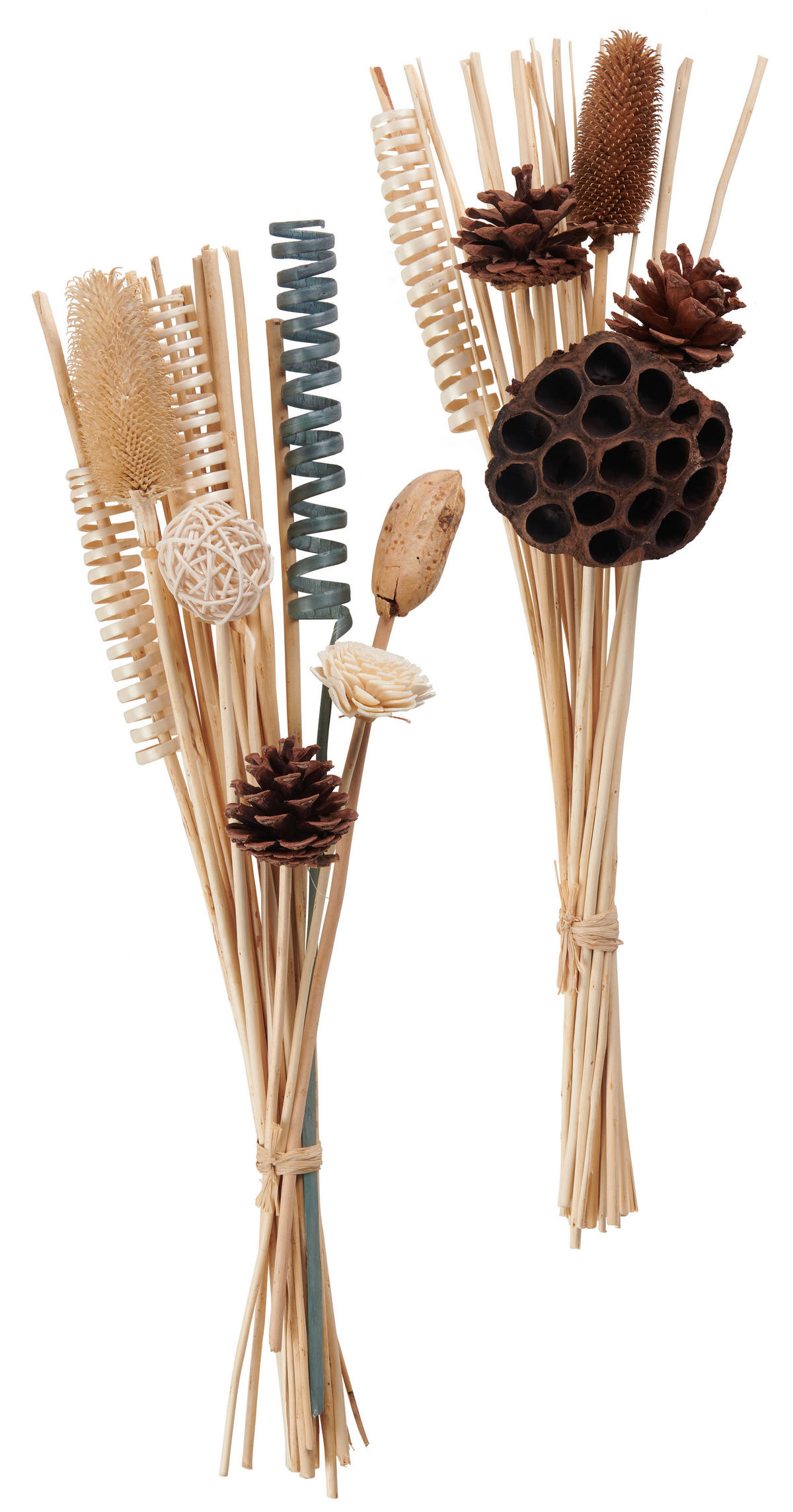 TROCKENBLUMENSTRAUß - Braun/Naturfarben, Natur, Naturmaterialien (50cm)