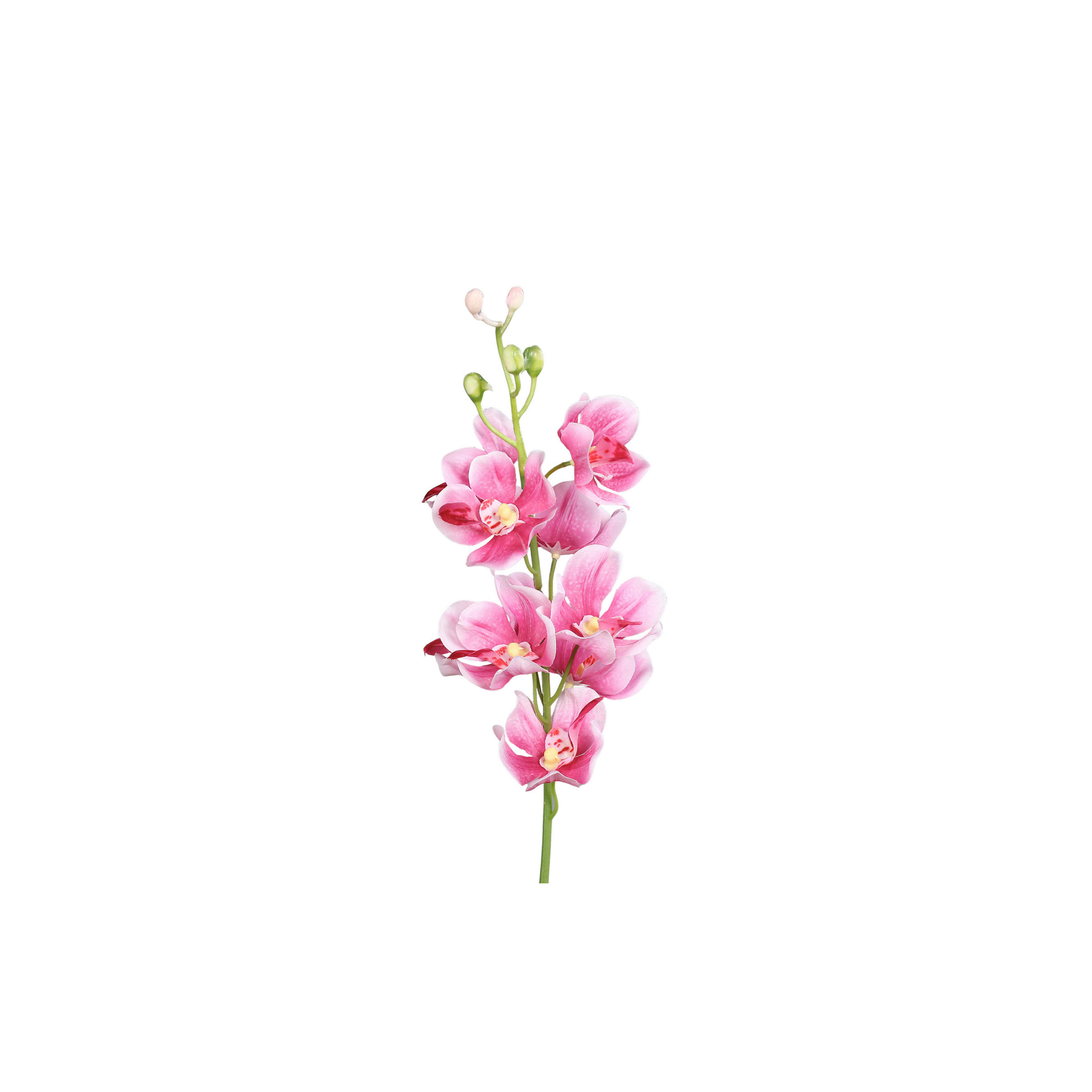 ORCHIDEE - Pink/Grün, Basics, Kunststoff/Textil (55cm)