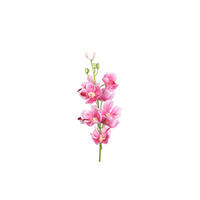 ORCHIDEE - Pink/Grün, Basics, Kunststoff/Textil (55cm)