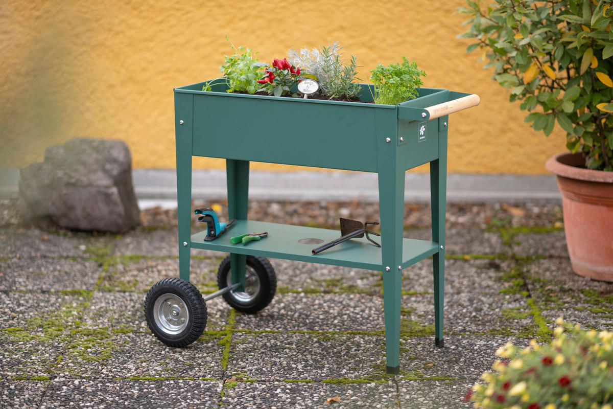 HOCHBEET 35/80/75 cm  - Olivgrün, Basics, Metall (35/80/75cm)