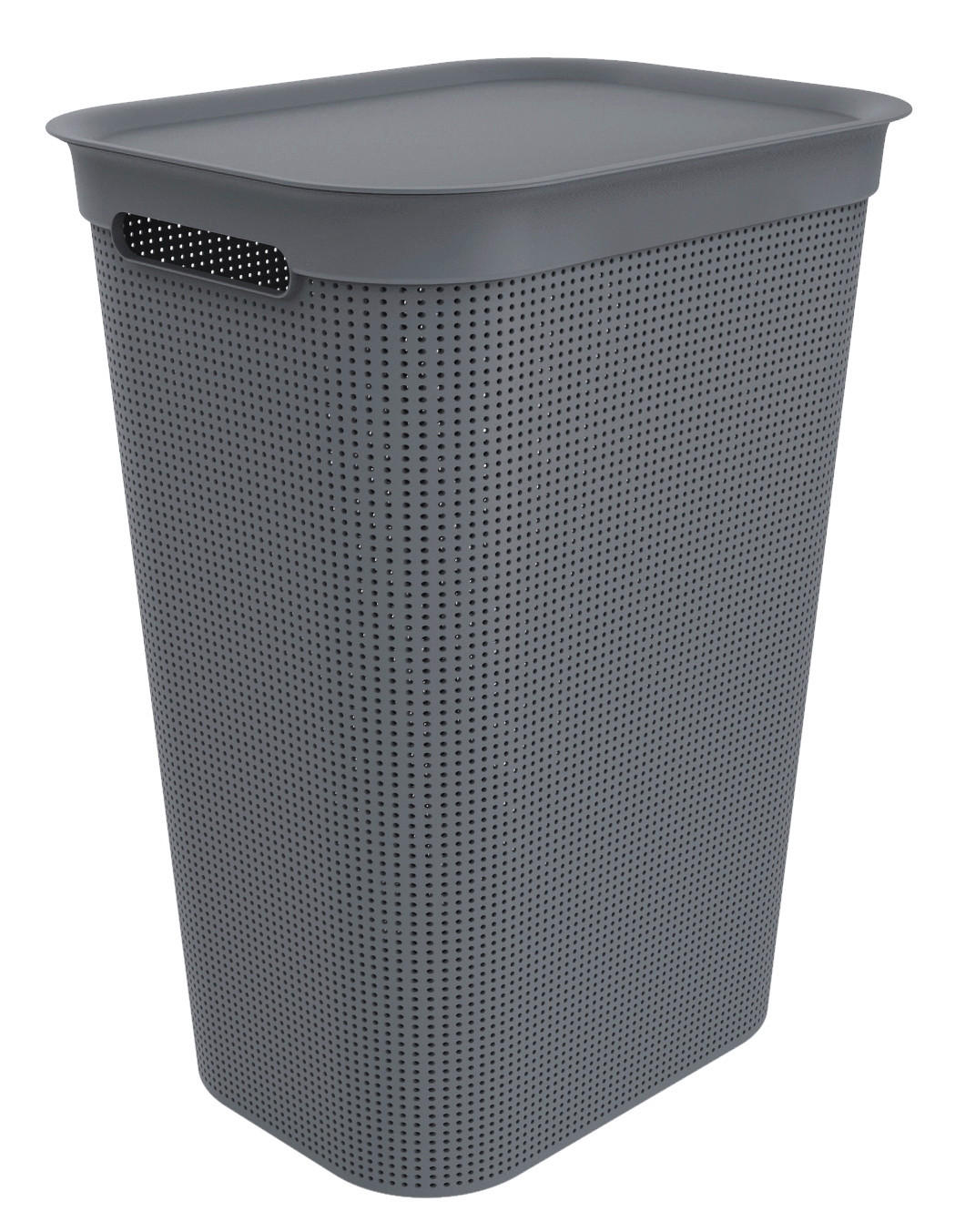 WÄSCHETONNE - Anthrazit, Basics, Kunststoff (43,1/34/52,9cm) - Rotho