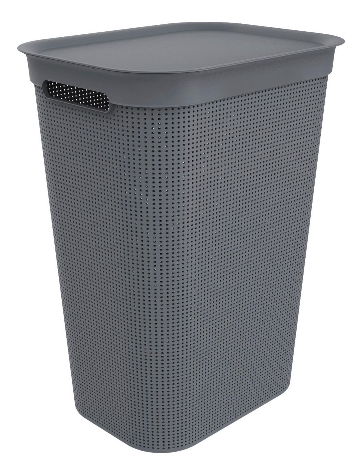 WÄSCHETONNE - Anthrazit, Basics, Kunststoff (43,1/34/52,9cm) - Rotho