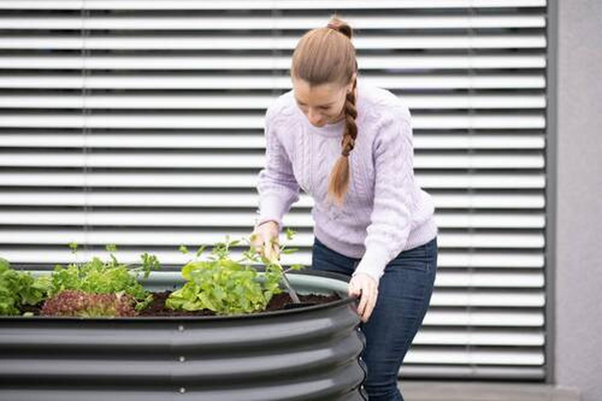 HOCHBEET  - Anthrazit, Basics, Metall (240/82/80cm) - Ambia Garden