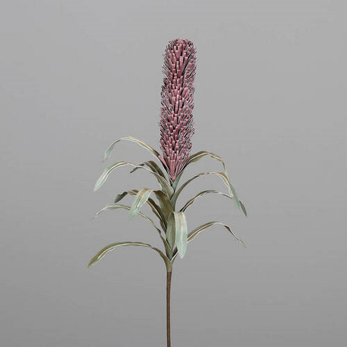 UKRASNA GRANČICA - pink/braon, Osnovno, plastika (84cm)