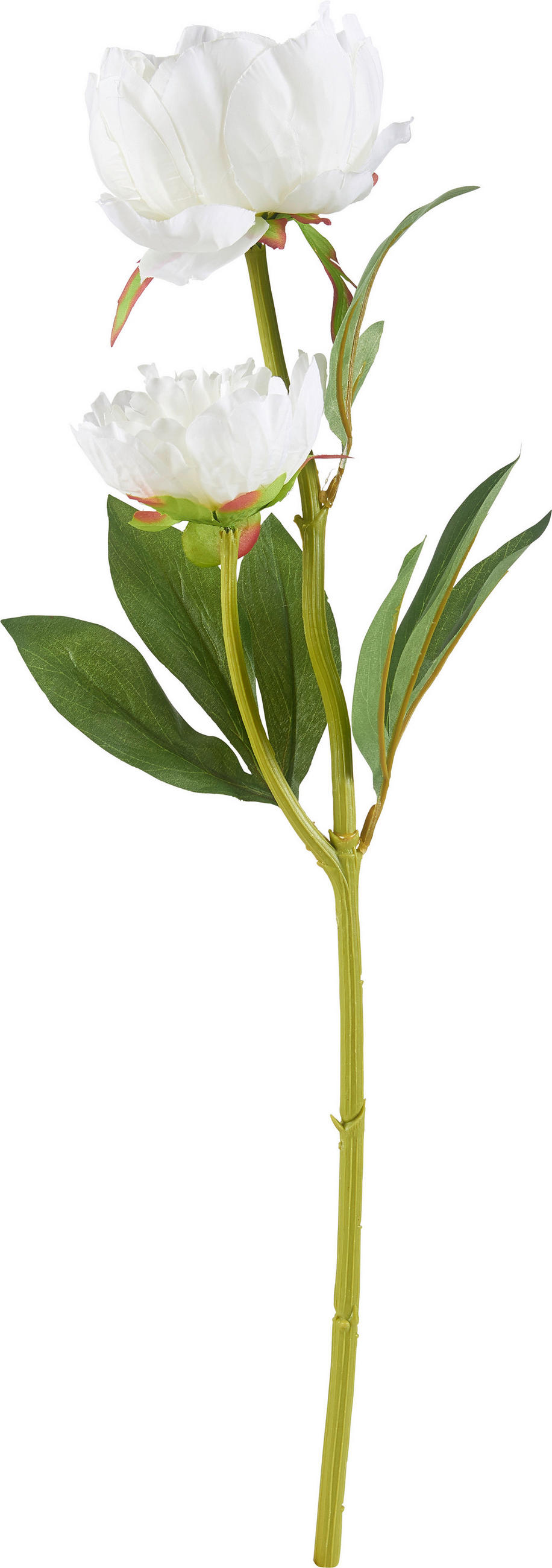 KUNSTBLUME - Creme/Grün, Basics, Kunststoff/Textil (60cm)