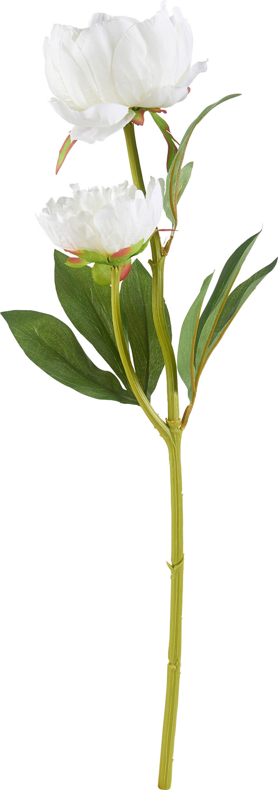 KUNSTBLUME - Creme/Grün, Basics, Kunststoff/Textil (60cm)