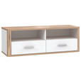 TV-ELEMENT 120,2/41,5/41,3 cm  - Plankeneiche/Eichefarben, KONVENTIONELL, Holzwerkstoff/Kunststoff (120,2/41,5/41,3cm) - Xora