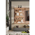 WOHNWAND  in Grau, Eiche dunkel  270/182/46 cm  - Eiche dunkel/Grau, Design, Glas/Holz (270/182/46cm) - Belluti