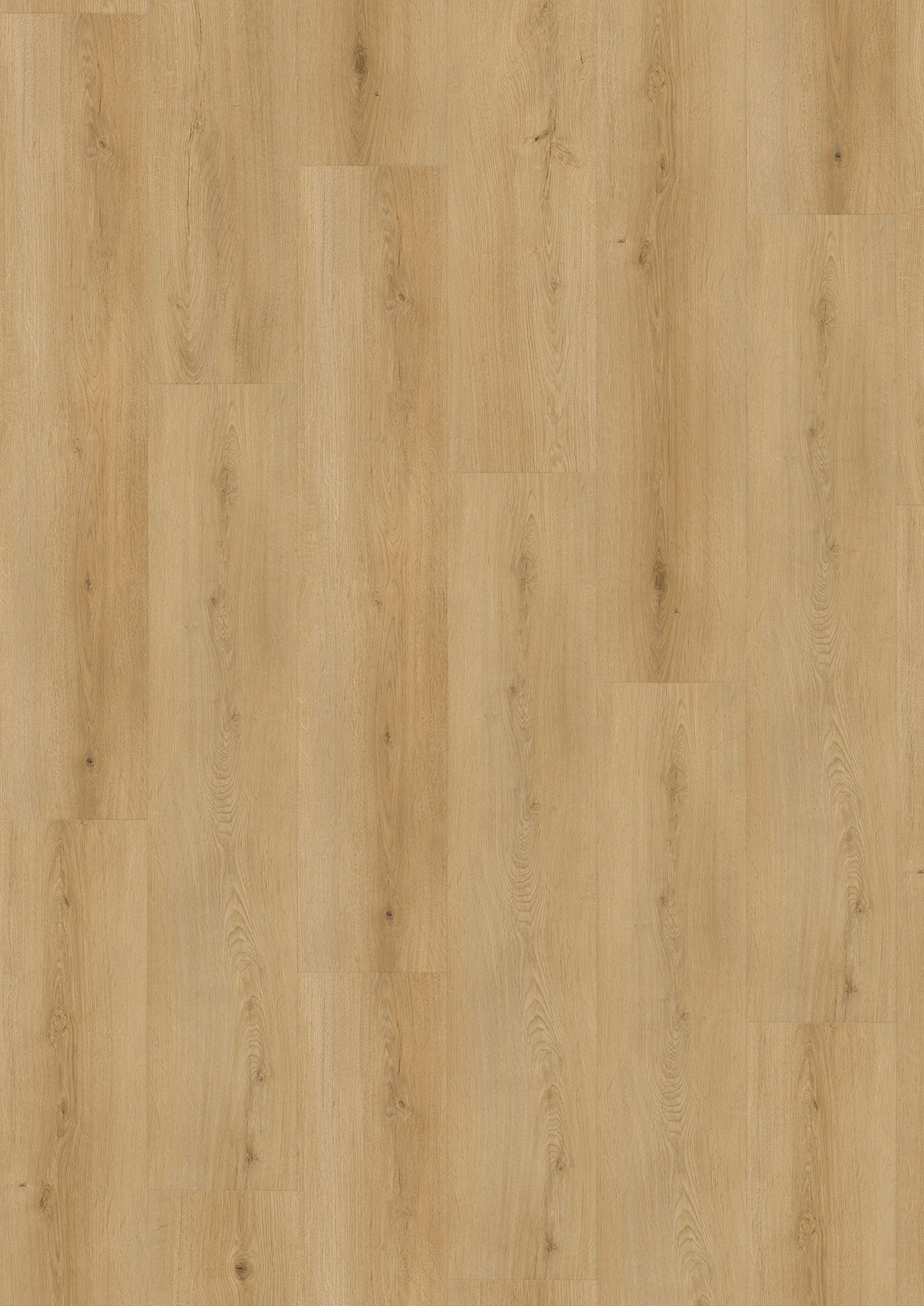 VINYLBODEN SPC 5mm Breitdiele inkl. Trittschall strong  per  m² - Eichefarben, Basics, Kunststoff (22,6/122/0,5cm)