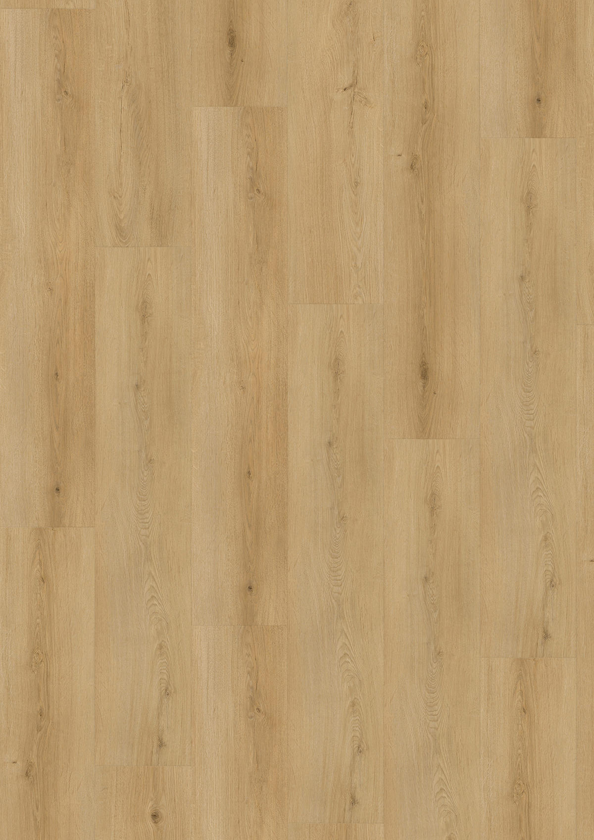 VINYLBODEN SPC 5mm Breitdiele inkl. Trittschall strong  per  m² - Eichefarben, Basics, Kunststoff (22,6/122/0,5cm)