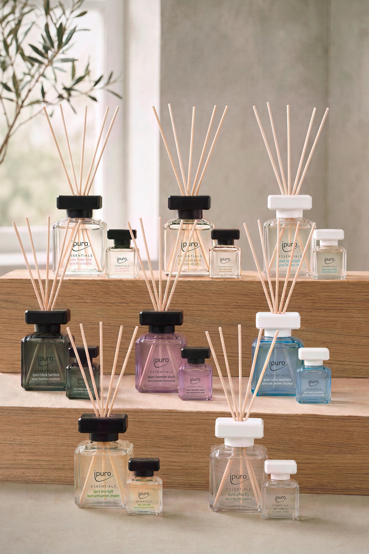 DIŠAVA ZA PROSTOR Essentials  - prosojno, Basics, steklo (50ml) - Ipuro