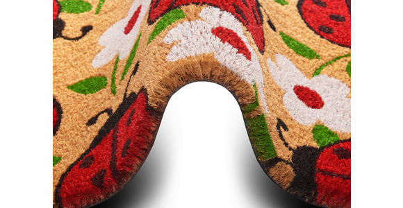 KOKOSMATTE 45/75 cm Mix Mats - Hellbraun/Multicolor, Basics, Naturmaterialien/Kunststoff (45/75cm) - Esposa