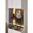 WOHNWAND 3-teilig  in Hellgrau, Anthrazit  240/204/45 cm  - Anthrazit/Hellgrau, Design, Glas/Holzwerkstoff (240/204/45cm) - Novel