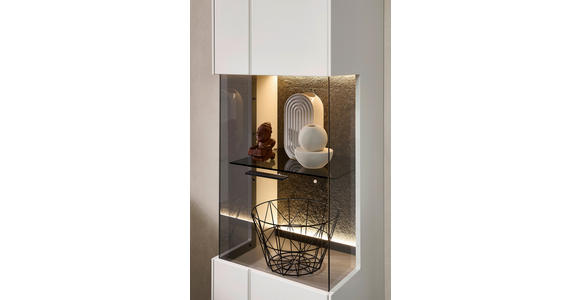 WOHNWAND 3-teilig in Hellgrau, Anthrazit 240/204/45 cm - Anthrazit/Hellgrau, Design, Glas/Holzwerkstoff (240/204/45cm) - Novel