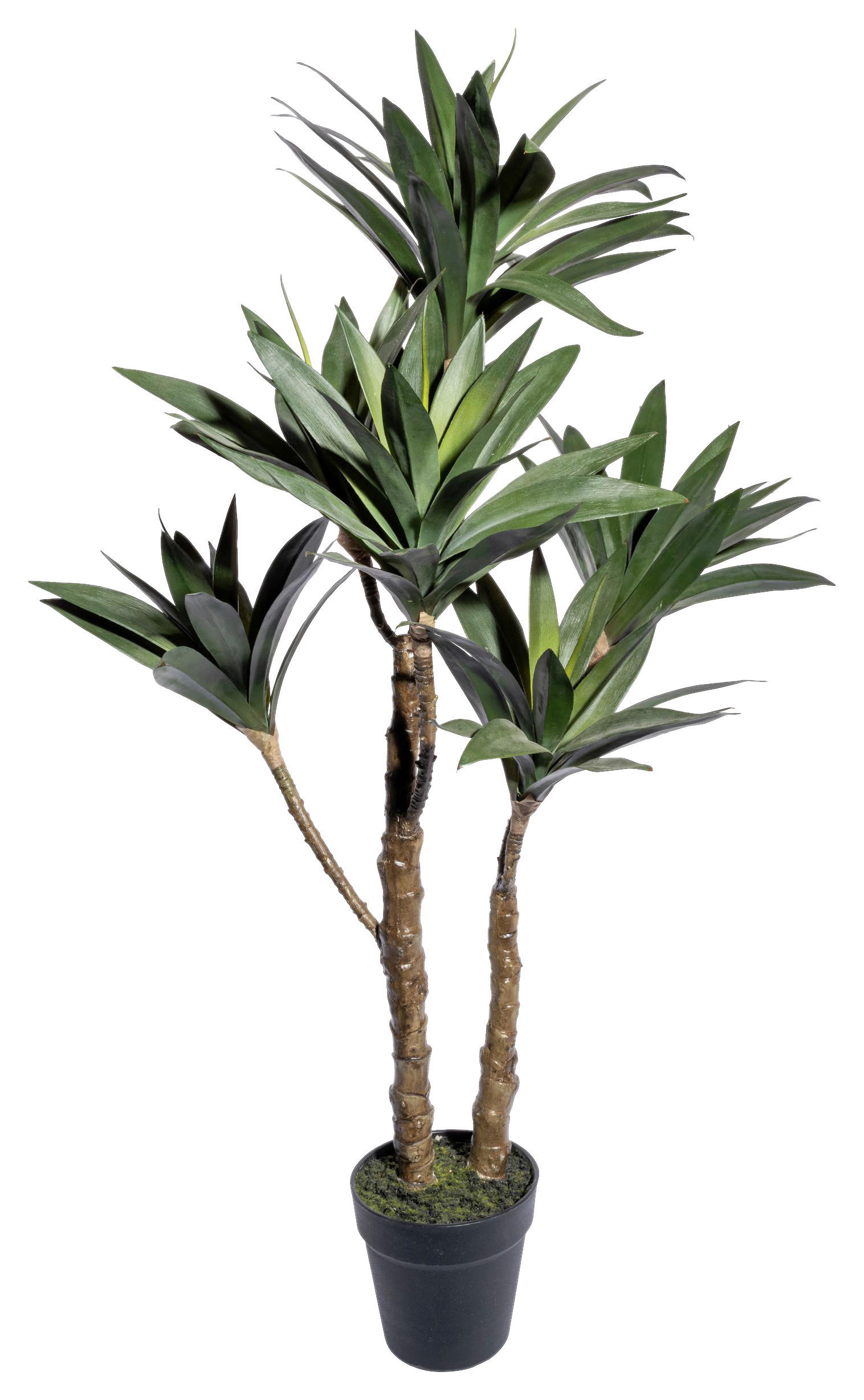 KUNSTPFLANZE Sukkulente 90 cm  - Schwarz/Braun, Design, Kunststoff (90cm) - P & B