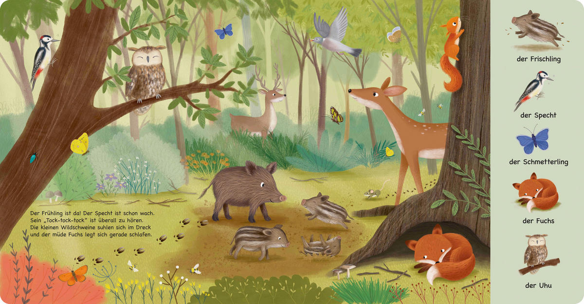 WIMMELBUCH Tiere im Wald  - Multicolor, Basics, Papier (23,5/24,5/1,6cm)