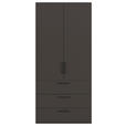 DREHTÜRENSCHRANK 101/223/61 cm,  in Graphitfarben, 2-türig  - Schwarz/Graphitfarben, Basics, Holzwerkstoff/Metall (101/223/61cm) - Novel