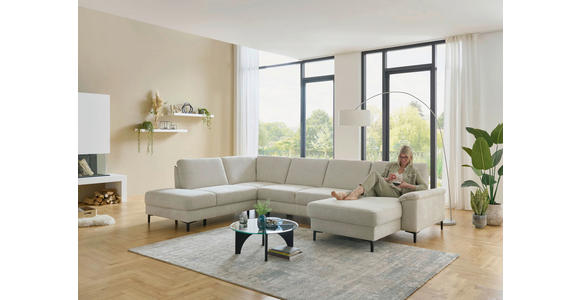 WOHNLANDSCHAFT Dieter Knoll Greige Chenille  - Greige/Schwarz, Design, Textil/Metall (235/349/175cm) - Dieter Knoll