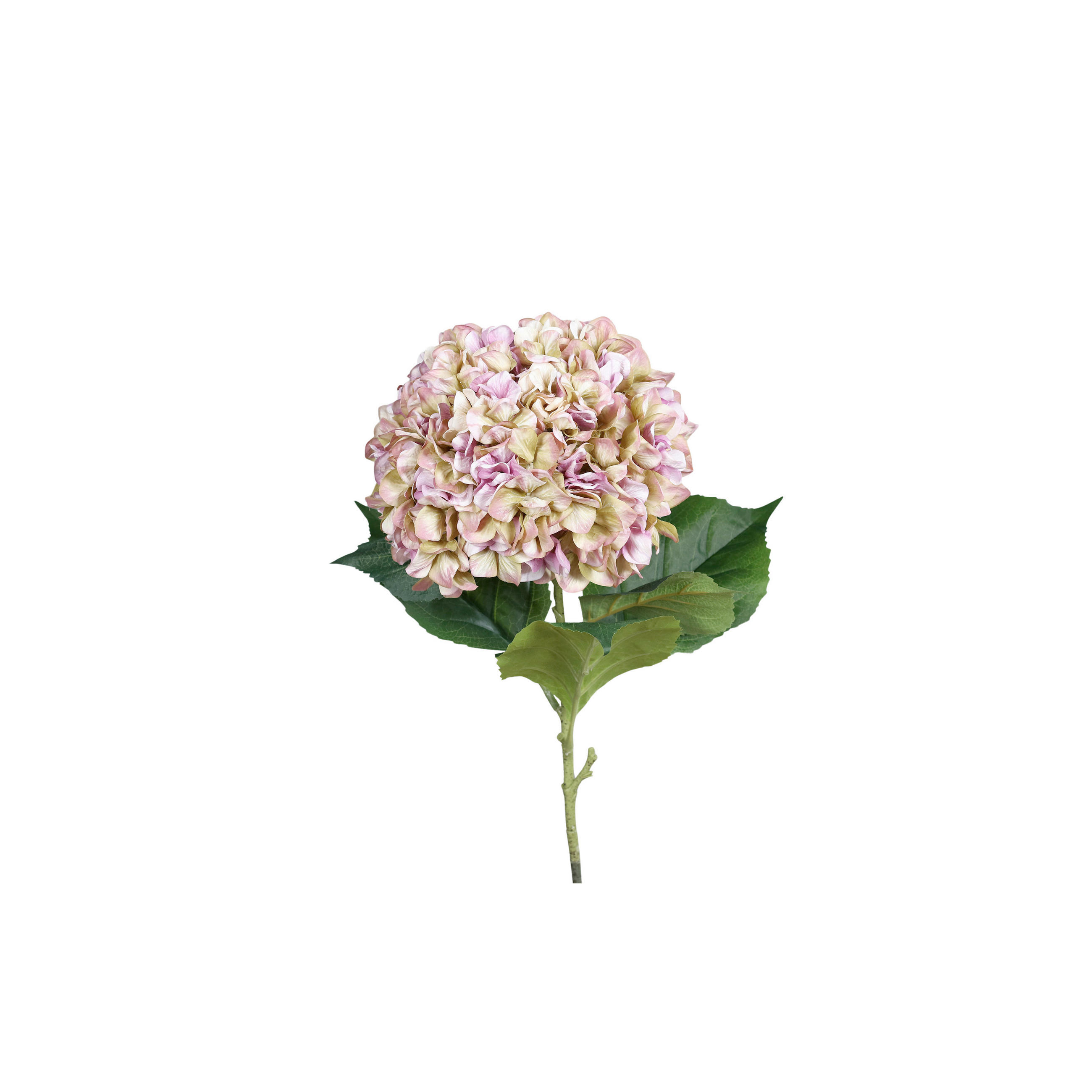 HORTENSIE - Violett/Grün, Basics, Kunststoff/Textil (82cm)