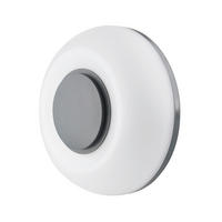 SPOLJNA ZIDNA SVETILJKA SEVILLE  - siva, Dizajnerski, plastika (22/7.2cm)