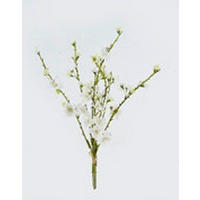 MŰNÖVÉNY - fehér/zöld, Basics, műanyag