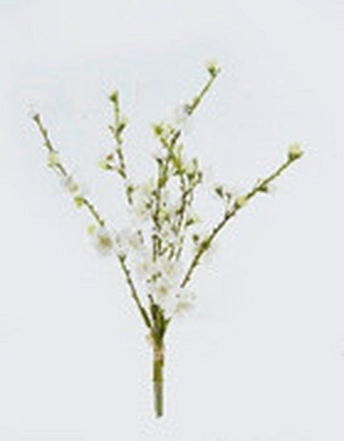 MŰNÖVÉNY - fehér/zöld, Basics, műanyag