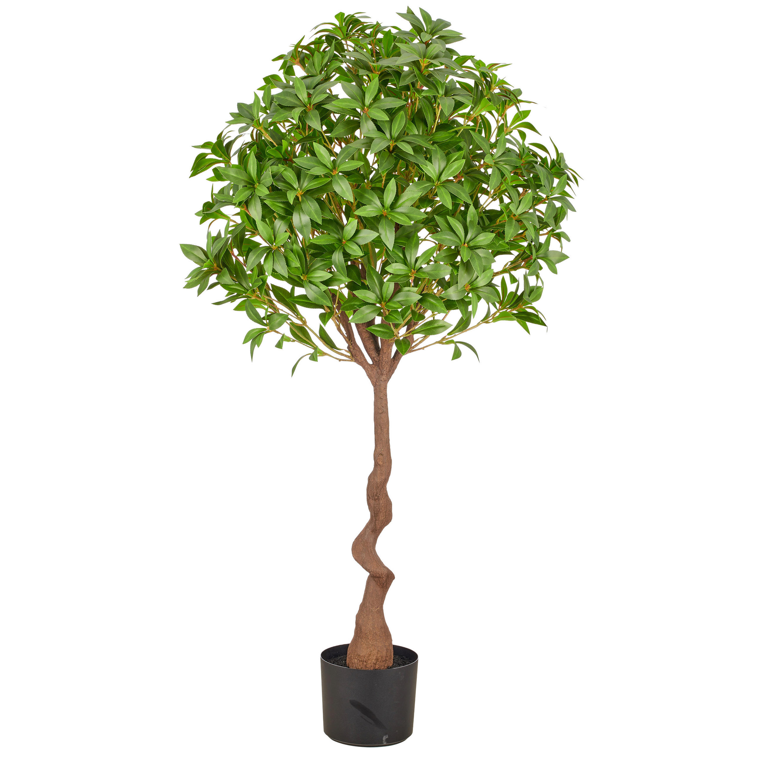 KUNSTPFLANZE 125 cm  - Schwarz/Braun, Basics, Kunststoff (125cm)