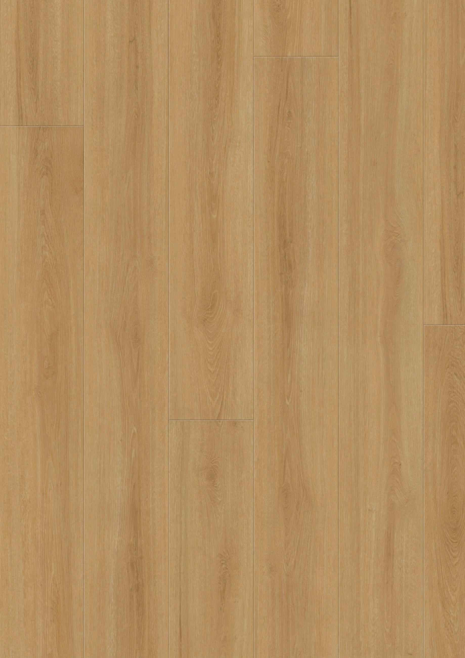 VINYLBODEN EICHE NATUR 100065901  - KONVENTIONELL, Holz (220/21,6/1cm) - Tilo