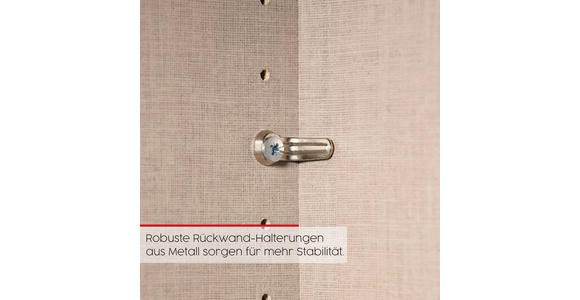 DREHTÜRENSCHRANK 101/223/61 cm,  in Champagner, 2-türig  - Champagner, Basics, Glas/Holzwerkstoff (101/223/61cm) - Novel