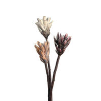 DEKOBLUME - Beige/Weinrot, Basics, Papier/Kunststoff (6,00/50,00/6,00cm) - Leonardo