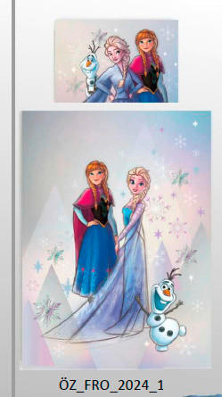 JUGENDBETTWÄSCHE FROZEN JUMP Flanell 135/200 cm  - Design, Textil (135/200cm) - Disney
