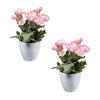 KUNSTPFLANZE Ranunkel 20 cm  - Rosa/Weiß, Design, Keramik/Kunststoff (20cm) - P & B
