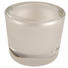 WINDLICHT - Perlmutt, Design, Glas (6,5/5,7cm) WINDLICHT - Perlmutt, Design, Glas (6,5/5,7cm)