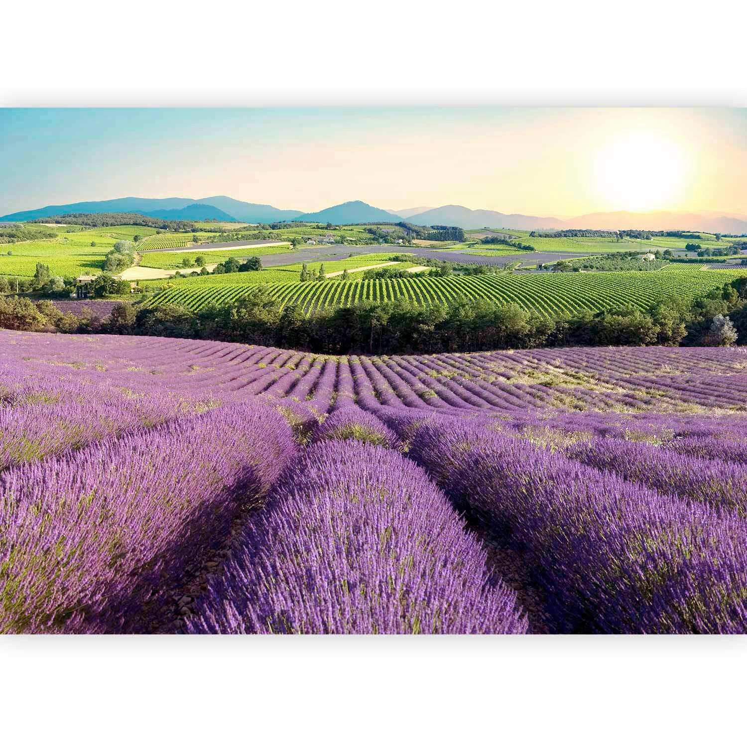 FOTOTAPETE  - Violett/Grün, LIFESTYLE, Textil (100/70cm) - artgeist