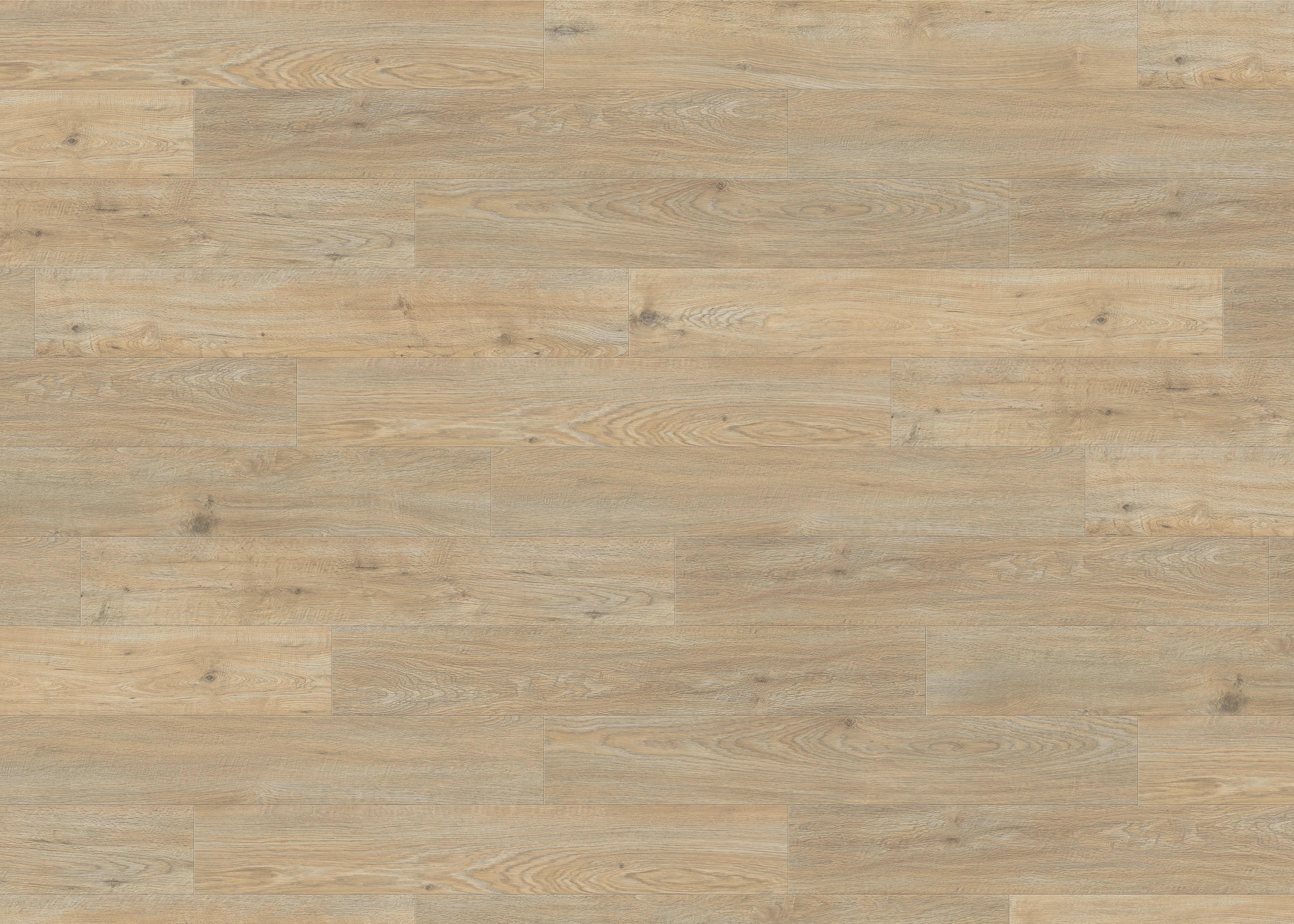 DESIGNBODEN PowerStar Eiche Asturia alabaster  per  m² - Eichefarben, Basics, Holzwerkstoff (19.3/128.2cm) - Haro