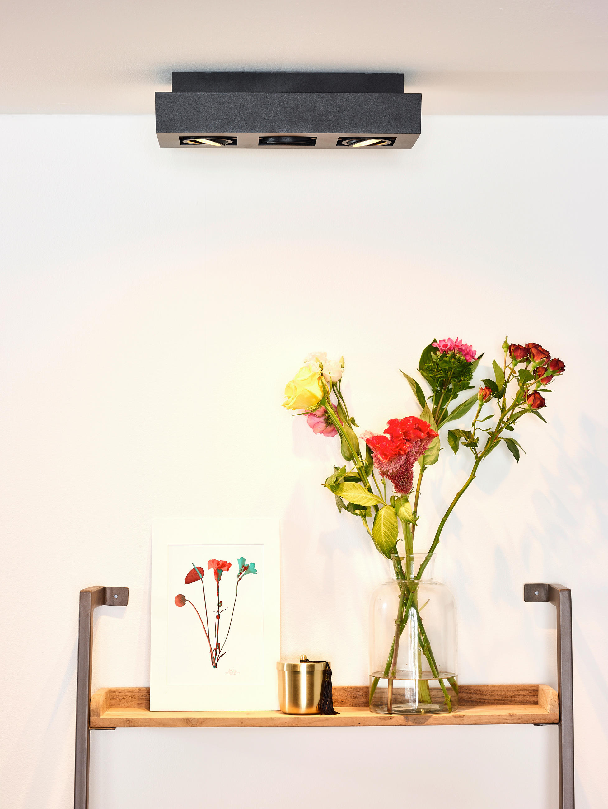 LED-DECKENLEUCHTE    36/14/8.8 cm  - Schwarz, Basics (36/14/8.8cm) - Lucide