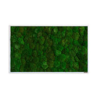 MOOSBILD Stylegreen  - Weiß/Grün, Basics, Naturmaterialien/Holz (100/60/7cm)