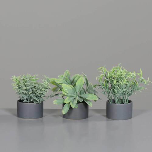 UMETNA RASTLINA - siva/zelena, Basics, umetna masa/keramika (7cm)