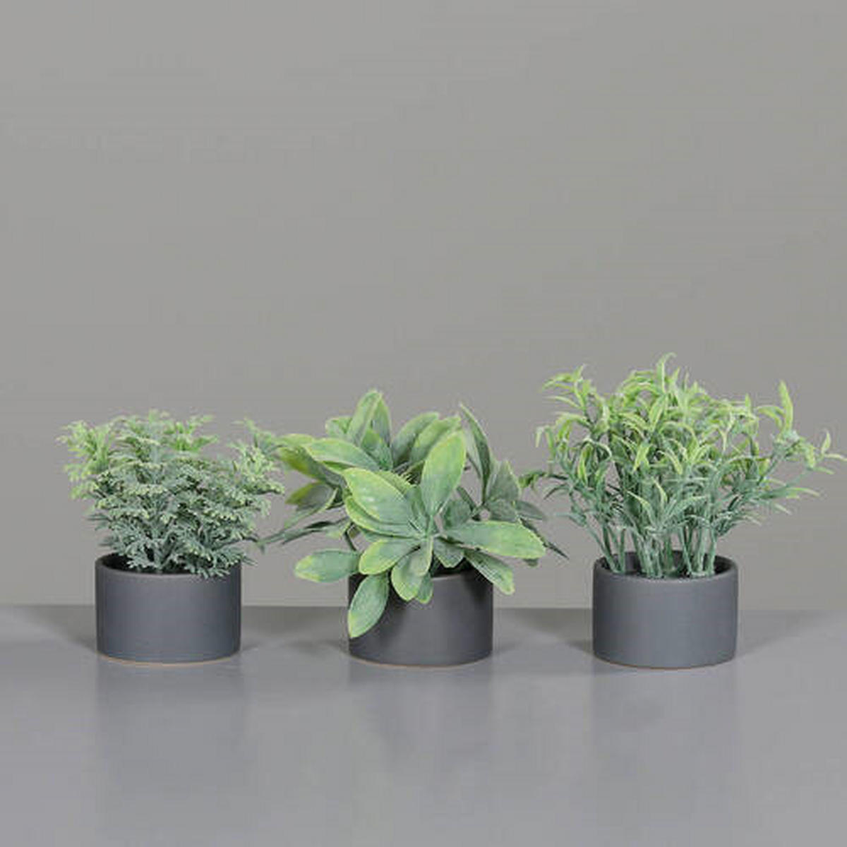 UMETNA RASTLINA - siva/zelena, Basics, umetna masa/keramika (7cm)