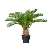 KUNSTPFLANZE Palme 60 cm  - Schwarz/Braun, Design, Kunststoff (60cm) - P & B