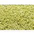 HOCHFLORTEPPICH 240/340 cm gewebt Grün - Grün, Basics, Textil (240/340cm) - Novel HOCHFLORTEPPICH 240/340 cm gewebt Grün - Grün, Basics, Textil (240/340cm) - Novel