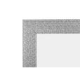 WANDSPIEGEL 50/150/2 cm    - Silberfarben, LIFESTYLE, Glas/Kunststoff (50/150/2cm) - Carryhome