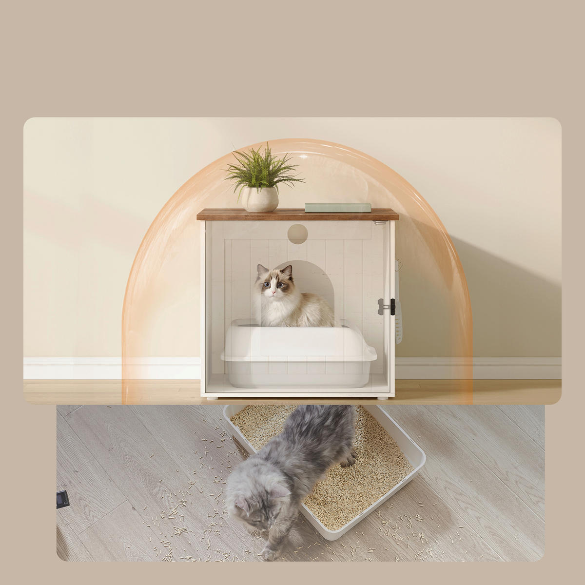 KATZENTOILETTE - Braun/Weiß, Trend, Holzwerkstoff (55/50/50cm) - Boxxx