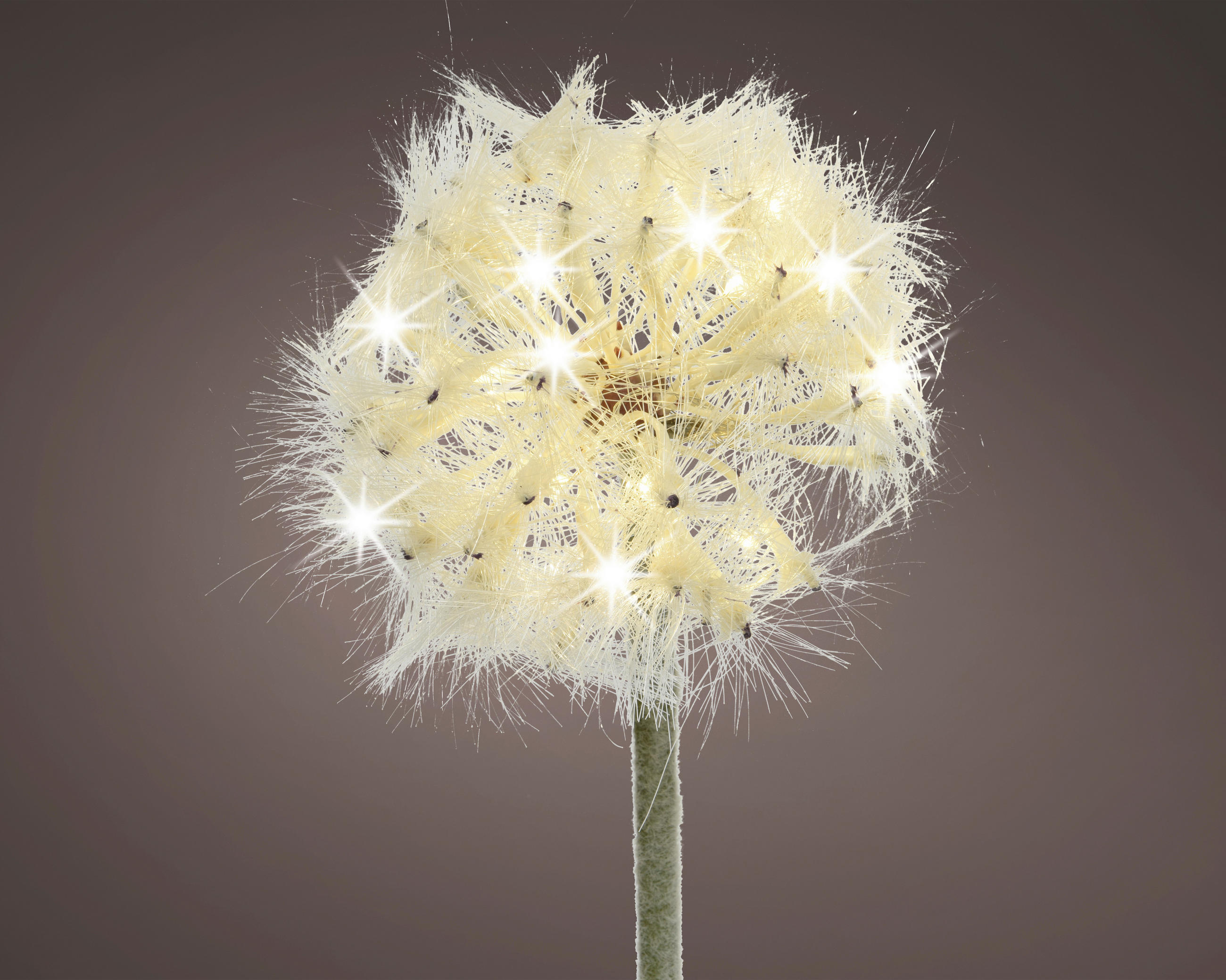 UKRASNI CVET - bež, Osnovno, tekstil (50cm)